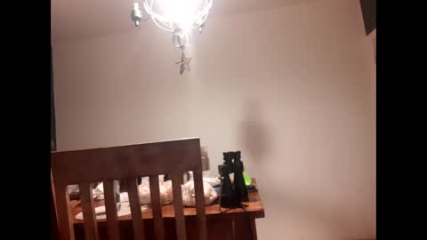 mccock16cm online show from February 16, 3:47 am