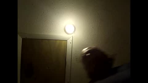 meaderd740870 online show from February 14, 3:25 am