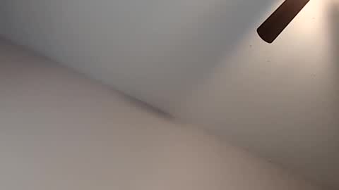 Snapshot of meanfinger chatting on February 13, 3:30 pm Jizzy online show from February 13, 3:30 pm