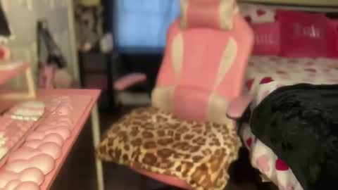 Southern Peach online show from February 6, 7:50 pm