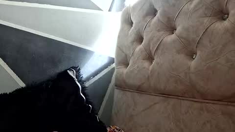 Snapshot of megan_coop3r_ chatting on October 20, 1:33 pm Megan and sophi online show from October 20, 1:33 pm