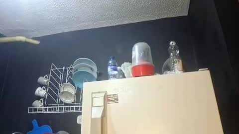 Snapshot of megan_coop3r_ chatting on November 5, 3:39 am Megan and sophi online show from November 5, 3:39 am