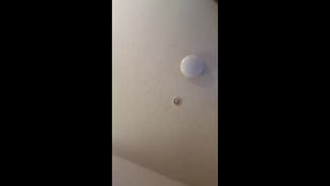 mel_hart_jr online show from May 18, 7:09 pm