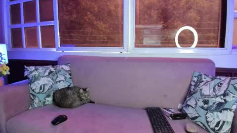 Melanie Roux online show from October 13, 7:36 pm