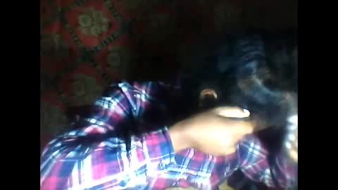 melanih online show from October 10, 1:48 am