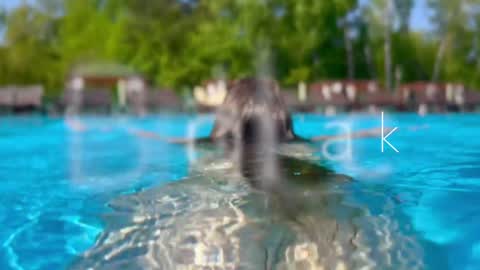 Snapshot of melanybunny chatting on December 12, 3:27 pm Adel online show from December 12, 3:27 pm