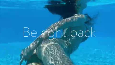 Snapshot of melanybunny chatting on September 15, 2:50 pm Adel online show from September 15, 2:50 pm