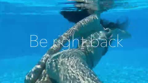 Snapshot of melanybunny chatting on November 3, 9:48 pm Adel online show from November 3, 9:48 pm