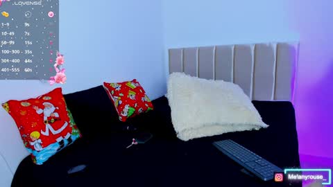 melanyrouse1 online show from December 28, 10:13 pm