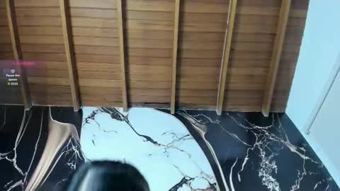  M e l i s s a  online show from January 15, 7:28 pm