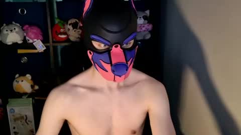MellPUP online show from June 24, 12:15 pm