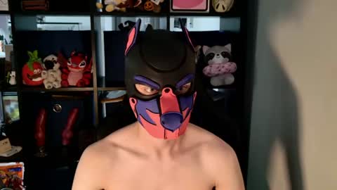 MellPUP online show from July 14, 6:13 pm