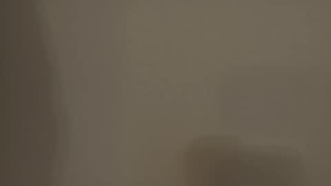 Melody online show from November 23, 8:25 am