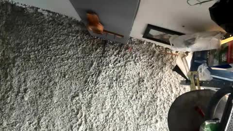 melodysnow online show from January 5, 5:49 pm