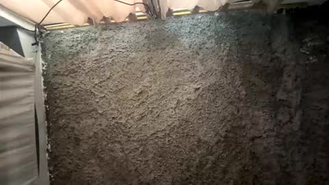 melodysnow online show from January 15, 6:11 pm