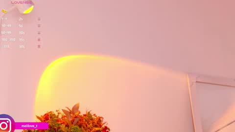 Melissa online show from January 14, 3:53 am