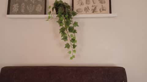  Memphis Williams  online show from February 15, 12:03 pm