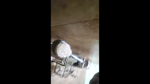 Snapshot of men_seeker chatting on February 12, 12:49 am men_seeker online show from February 12, 12:49 am