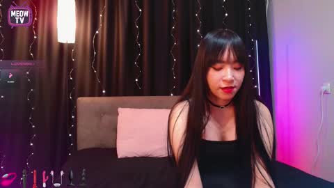 meowkami online show from February 16, 12:51 am