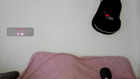 meowmelf online show from May 7, 9:31 pm