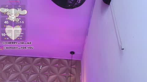 Snapshot of meraki_fraise chatting on November 23, 7:57 pm online show from November 23, 7:57 pm