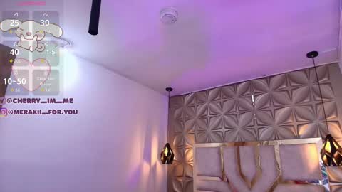 Snapshot of meraki_fraise chatting on November 29, 7:06 pm online show from November 29, 7:06 pm