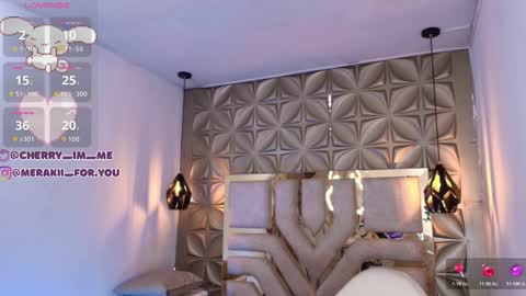 Snapshot of meraki_fraise chatting on December 1, 7:08 pm online show from December 1, 7:08 pm