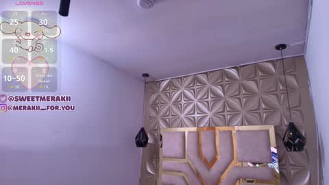 Snapshot of meraki_fraise chatting on December 20, 3:02 am online show from December 20, 3:02 am