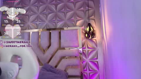 Snapshot of meraki_fraise chatting on February 2, 3:05 am online show from February 2, 3:05 am