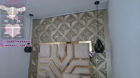 Snapshot of meraki_fraise chatting on February 8, 2:48 am online show from February 8, 2:48 am