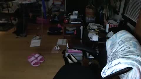 Snapshot of mercurybeetle chatting on December 24, 1:28 pm Tsukiko online show from December 24, 1:28 pm