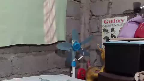 merietiny online show from January 22, 5:59 am