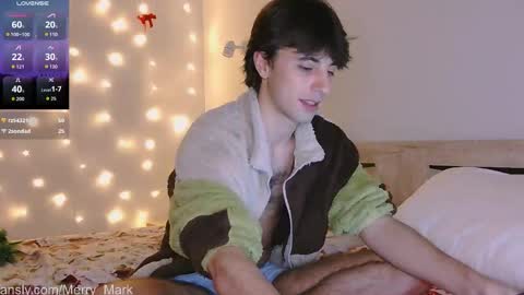 Snapshot of merry_mark chatting on January 15, 8:56 pm Mark online show from January 15, 8:56 pm