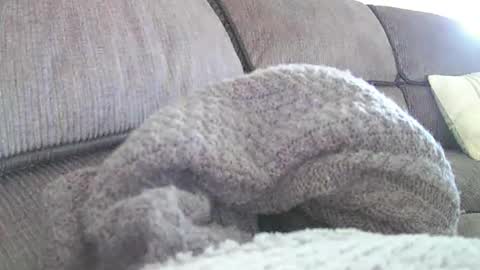 mexianthehawk online show from April 18, 2:04 am