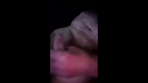 mhidupont online show from April 10, 10:09 am