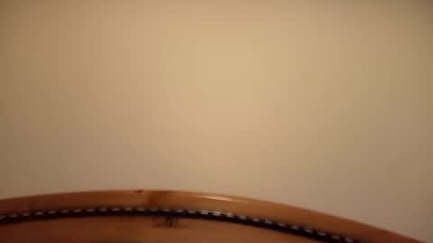 Snapshot of mhorny5 chatting on September 14, 8:41 pm mhorny5 online show from September 14, 8:41 pm