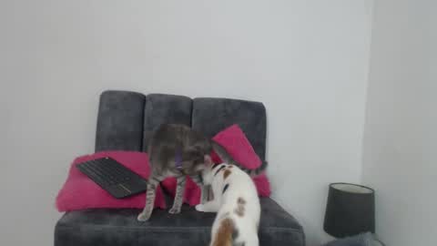 M I A online show from November 13, 11:20 am