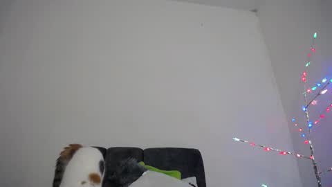 M I A online show from December 18, 10:32 am