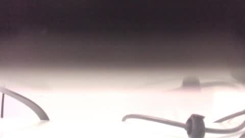    online show from January 7, 12:29 pm