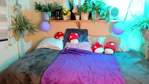 Miaa online show from March 10, 8:25 pm