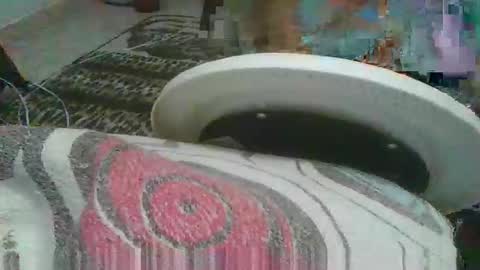 miagomezx online show from February 17, 4:42 am