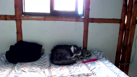 Snapshot of miahells chatting on November 24, 4:18 pm Mia Sam online show from November 24, 4:18 pm