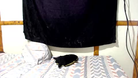 Snapshot of miahells chatting on December 16, 4:01 pm Mia Sam online show from December 16, 4:01 pm