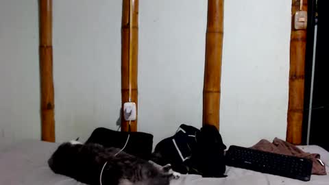 Snapshot of miahells chatting on January 17, 11:41 pm Mia Sam online show from January 17, 11:41 pm