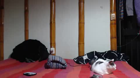 Mia  Sam online show from March 7, 10:18 pm