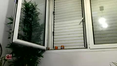 MILO MIAMI online show from June 28, 12:27 am
