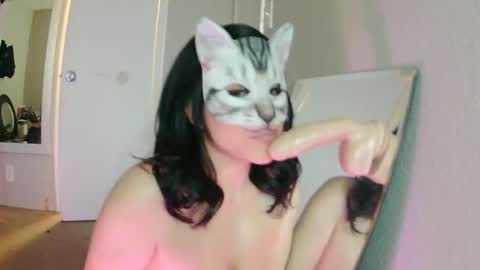 Snapshot of michellepipeherfluffylove chatting on February 4, 4:50 pm michellepipeherfluffylove online show from February 4, 4:50 pm