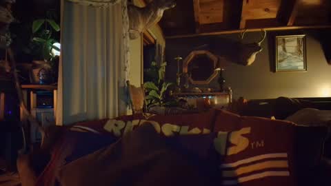 Hey Mickey online show from December 18, 10:57 pm