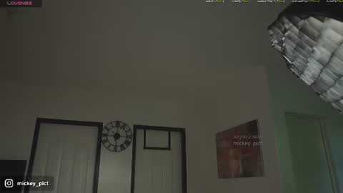 Snapshot of mickey_pict chatting on July 2, 5:02 am Mickey online show from July 2, 5:02 am