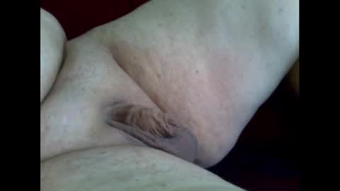 micropimmel online show from November 2, 1:02 pm